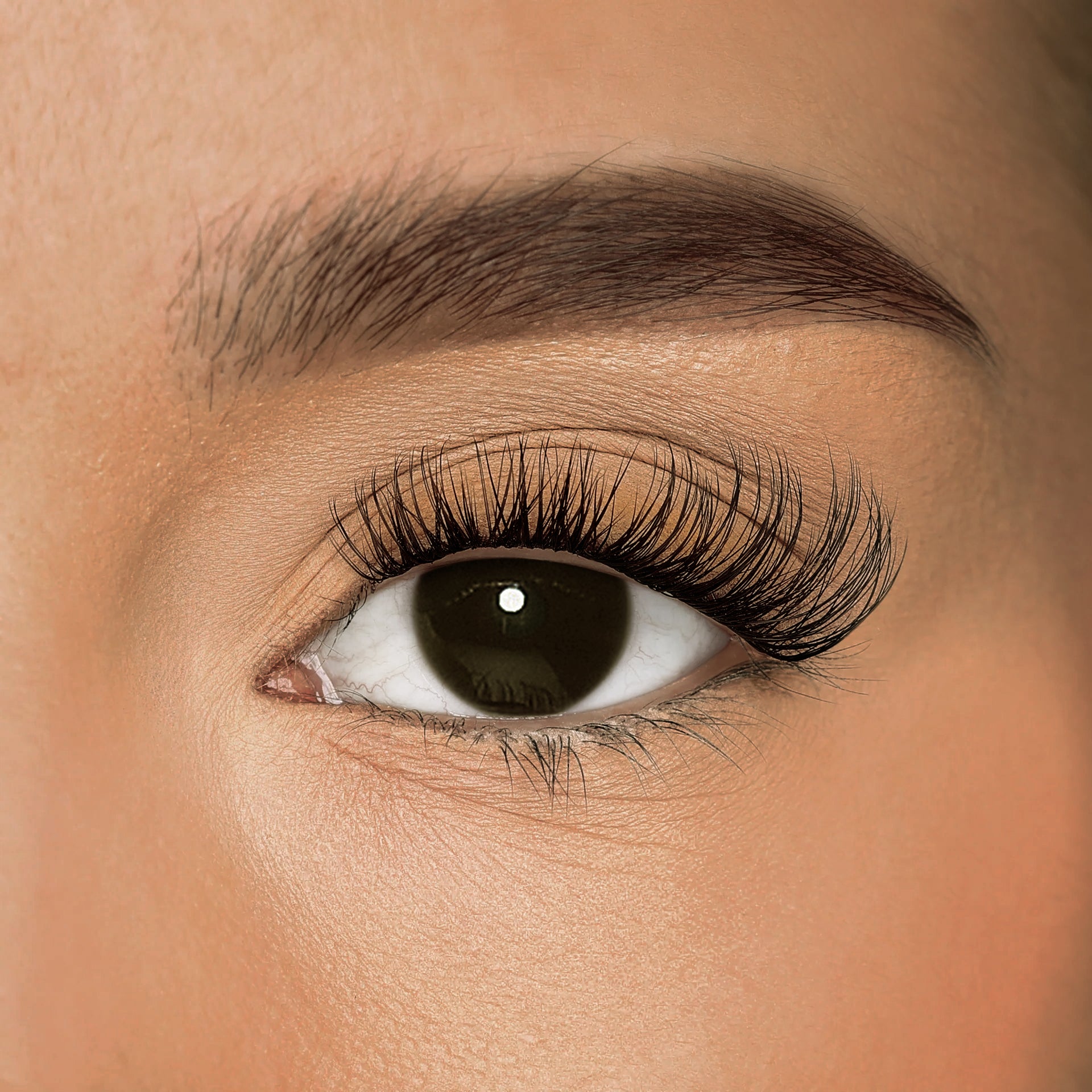 Close-up of iLash Mafia DIY lashes for self-application in the style Bussin, featuring a natural and soft cat-eye volume look.