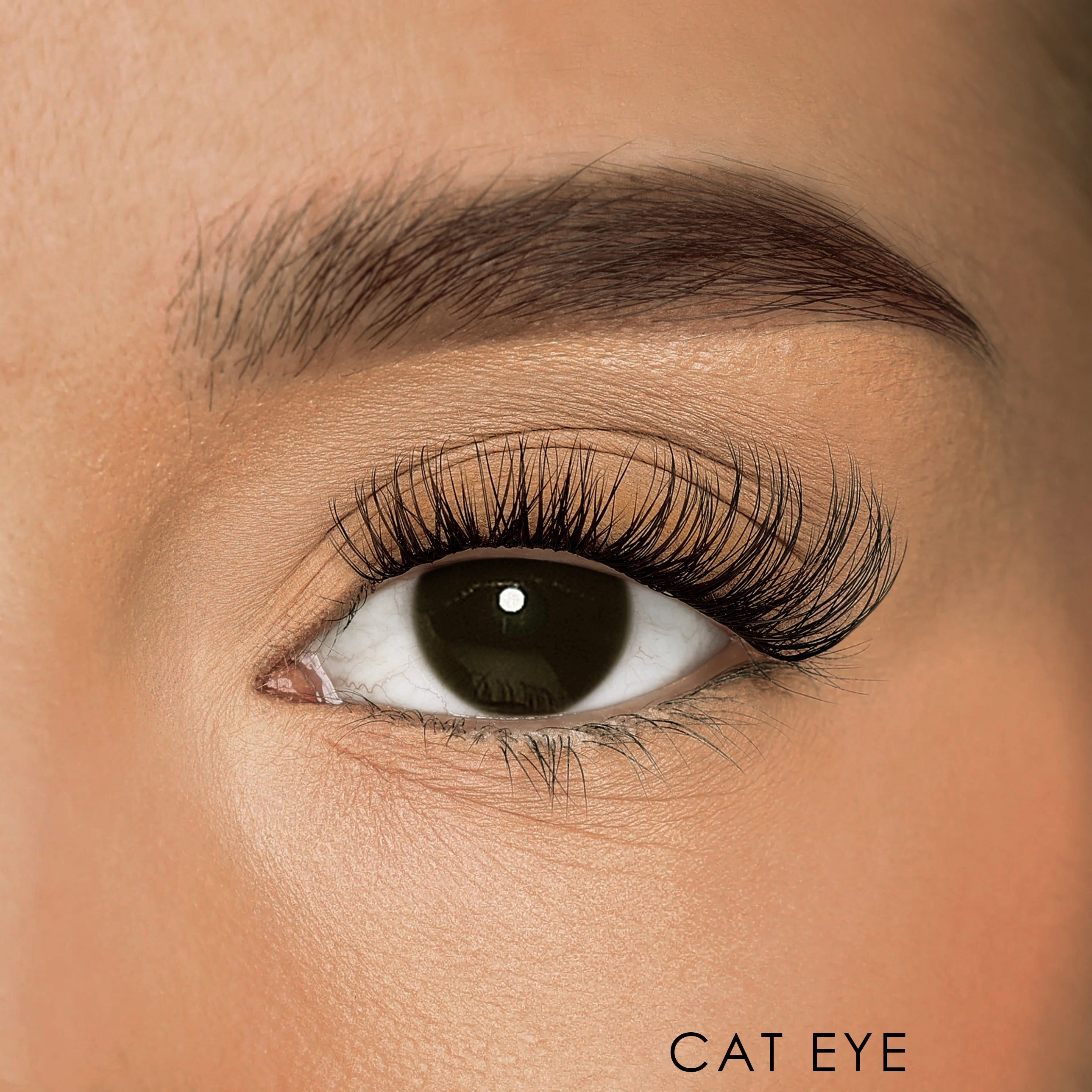 Close-up of iLash Mafia DIY lashes for self-application in the style Bussin, featuring a natural and soft cat-eye volume look.
